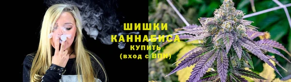 прущие грибы Пересвет