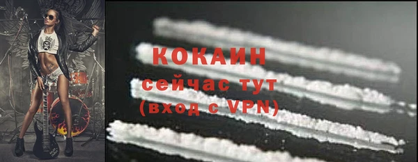 прущие грибы Пересвет