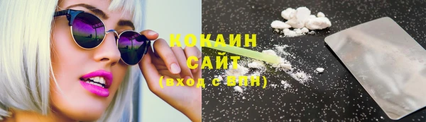 прущие грибы Пересвет