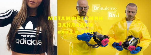прущие грибы Пересвет