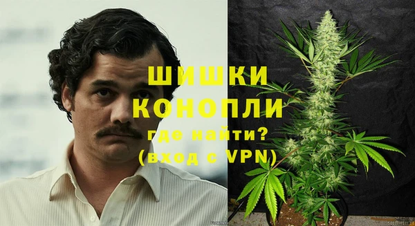 прущие грибы Пересвет