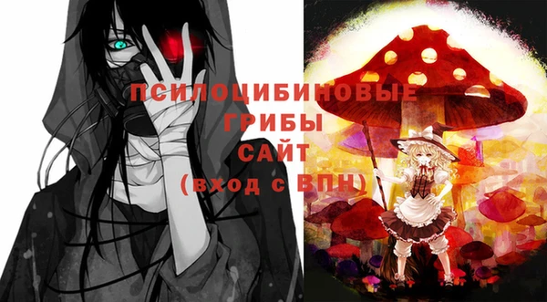 не бодяженный Переславль-Залесский