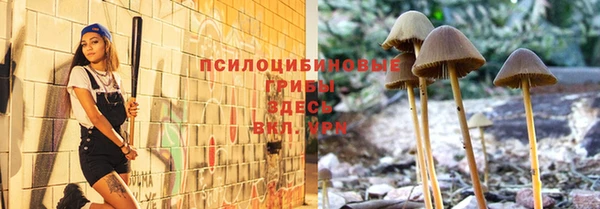 прущие грибы Пересвет
