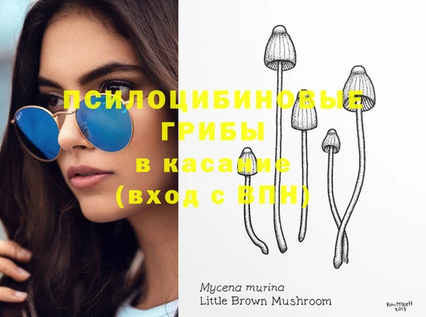 соль курить ск Пестово