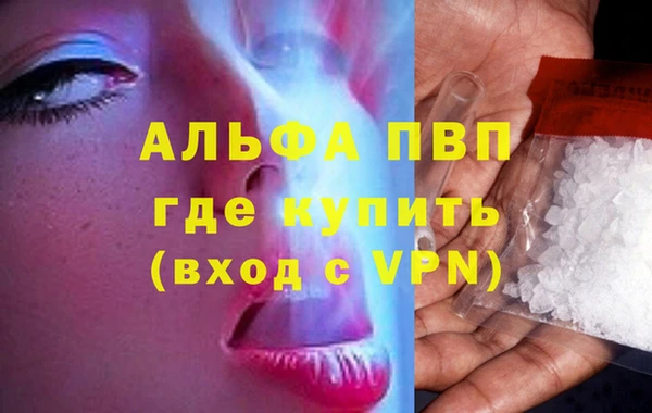 прущие грибы Пересвет