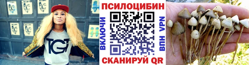 купить цена Сосенский Галлюциногенные грибы Cubensis