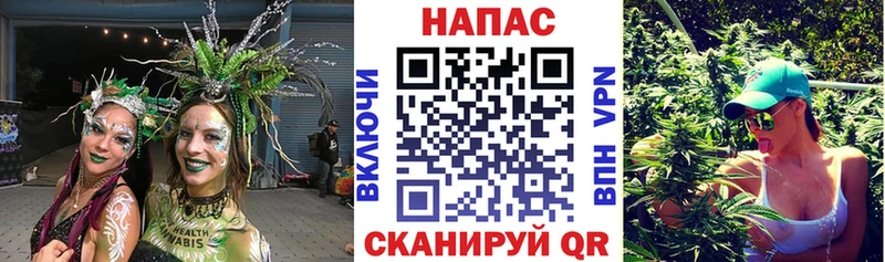 где купить наркотик  Сосенский  Шишки марихуана семена 